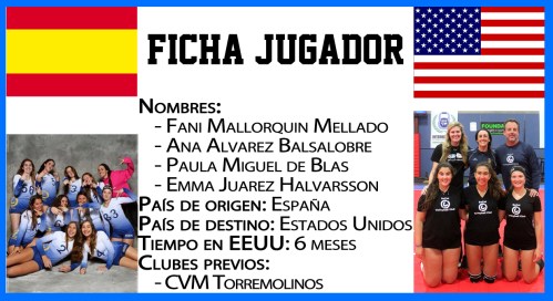 ficha jugador entrevista copy