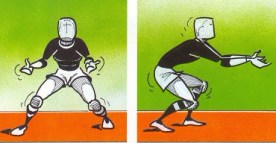 posicion inicio antebrazos